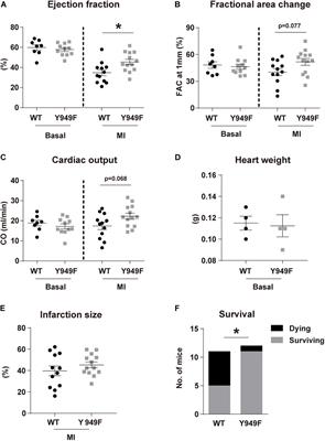 Suppressed Vascular Leakage and Myocardial Edema Improve Outcome From Myocardial Infarction